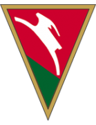 Lublinianka Lublin - Logo