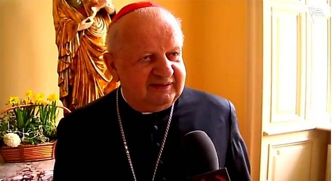 Kard. Stanisław Dziwisz: Większość lat Cracovii była bardzo bliska Jego sercu