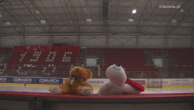 Bracia zapraszają na niedzielny "Teddy Bear Toss". Oryginalnie!