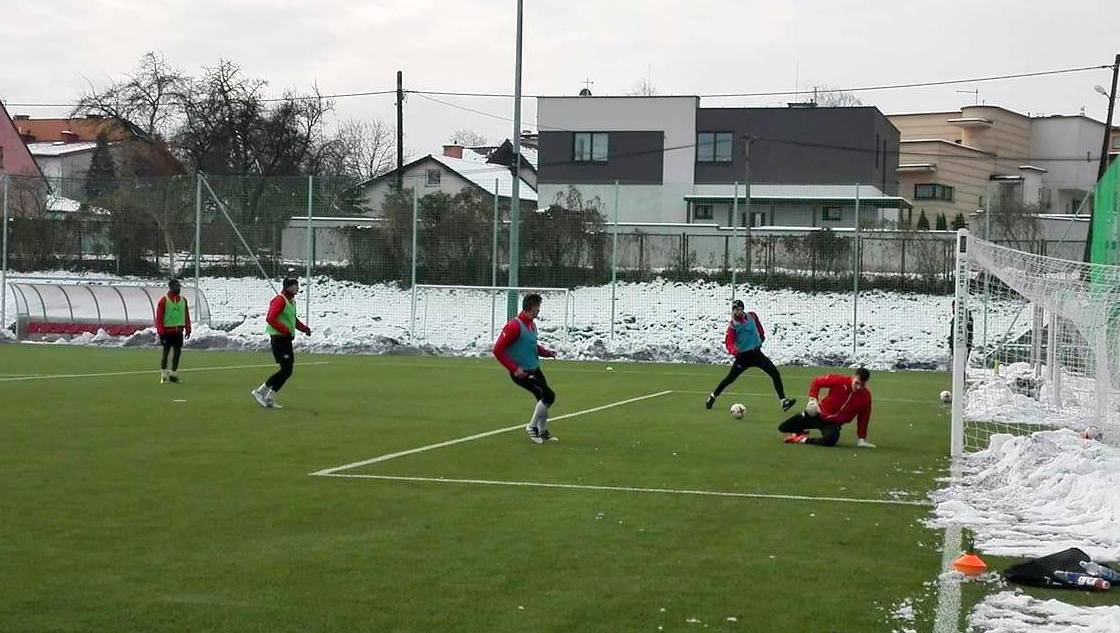 Pasy ćwiczą podzielone na grupy [FOTO]